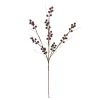 Hot NANU-NANA Beerenzweig, Dunkelrot, 70 Cm
