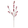 New NANU-NANA Beerenzweig, Rot, 70 Cm