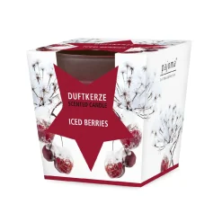 Sale NANU-NANA Duftkerze Im Glas, Xmas, Iced Berries