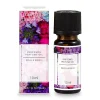 Sale NANU-NANA Duftöl Roses & Berries, Nr. 3, 10 Ml