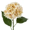 Outlet NANU-NANA Hortensie Antik, Creme, 70 Cm