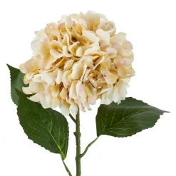 Outlet NANU-NANA Hortensie Antik, Creme, 70 Cm