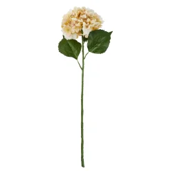 Outlet NANU-NANA Hortensie Antik, Creme, 70 Cm
