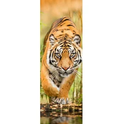 Hot NANU-NANA Jumboposter Big Tiger Walking, Nr. 33