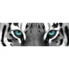 Sale NANU-NANA Jumboposter Blue Tiger Eyes, Nr. 16