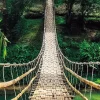 Sale NANU-NANA Jumboposter Jungle Bridge, Nr. 37