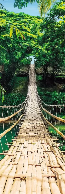 Sale NANU-NANA Jumboposter Jungle Bridge, Nr. 37