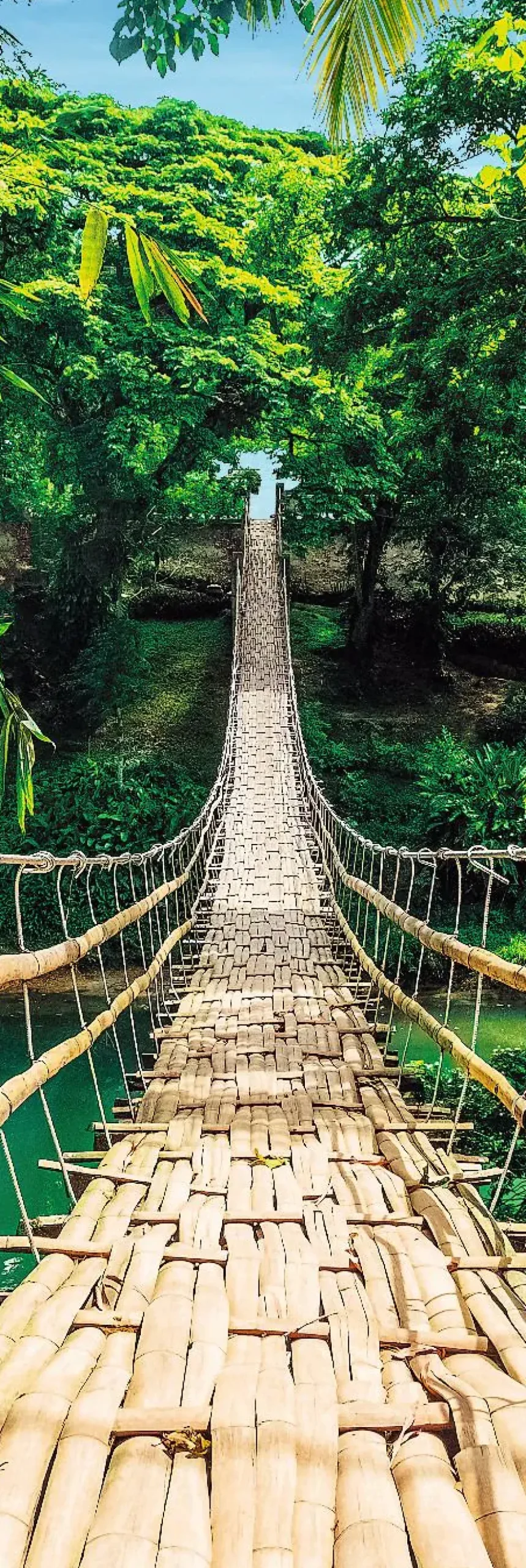 Sale NANU-NANA Jumboposter Jungle Bridge, Nr. 37