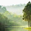 Discount NANU-NANA Jumboposter Mystic Forest Lake, Nr. 34