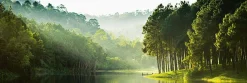 Discount NANU-NANA Jumboposter Mystic Forest Lake, Nr. 34