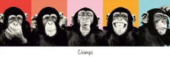 Outlet NANU-NANA Jumboposter The Chimp - Pop, Nr. 36