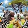 Clearance NANU-NANA Jumboposter Wildlife Funnies, Nr. 28