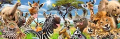 Clearance NANU-NANA Jumboposter Wildlife Funnies, Nr. 28