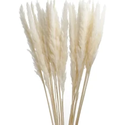 Discount NANU-NANA Pampasgras, Creme, 78 Cm