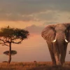 Hot NANU-NANA Poster African Wildlife Elephant, Nr. 4