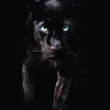 Clearance NANU-NANA Poster Black Panther, Nr. 179