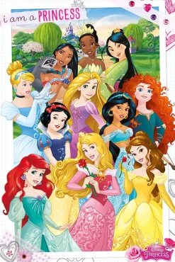 Online NANU-NANA Poster Disney Princess, Nr. 162