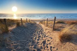 Outlet NANU-NANA Poster Dune Path, Nr. 88