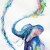 Online NANU-NANA Poster Elephant - Marc Allante, Nr. 104
