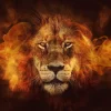 Fashion NANU-NANA Poster Flaming Lion, Nr. 98