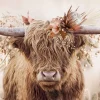 Sale NANU-NANA Poster Floral Highlander, Nr. 3