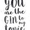 Best NANU-NANA Poster Gin To Tonic, Nr. 110