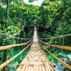 Sale NANU-NANA Poster Jungle Bridge, Nr. 117