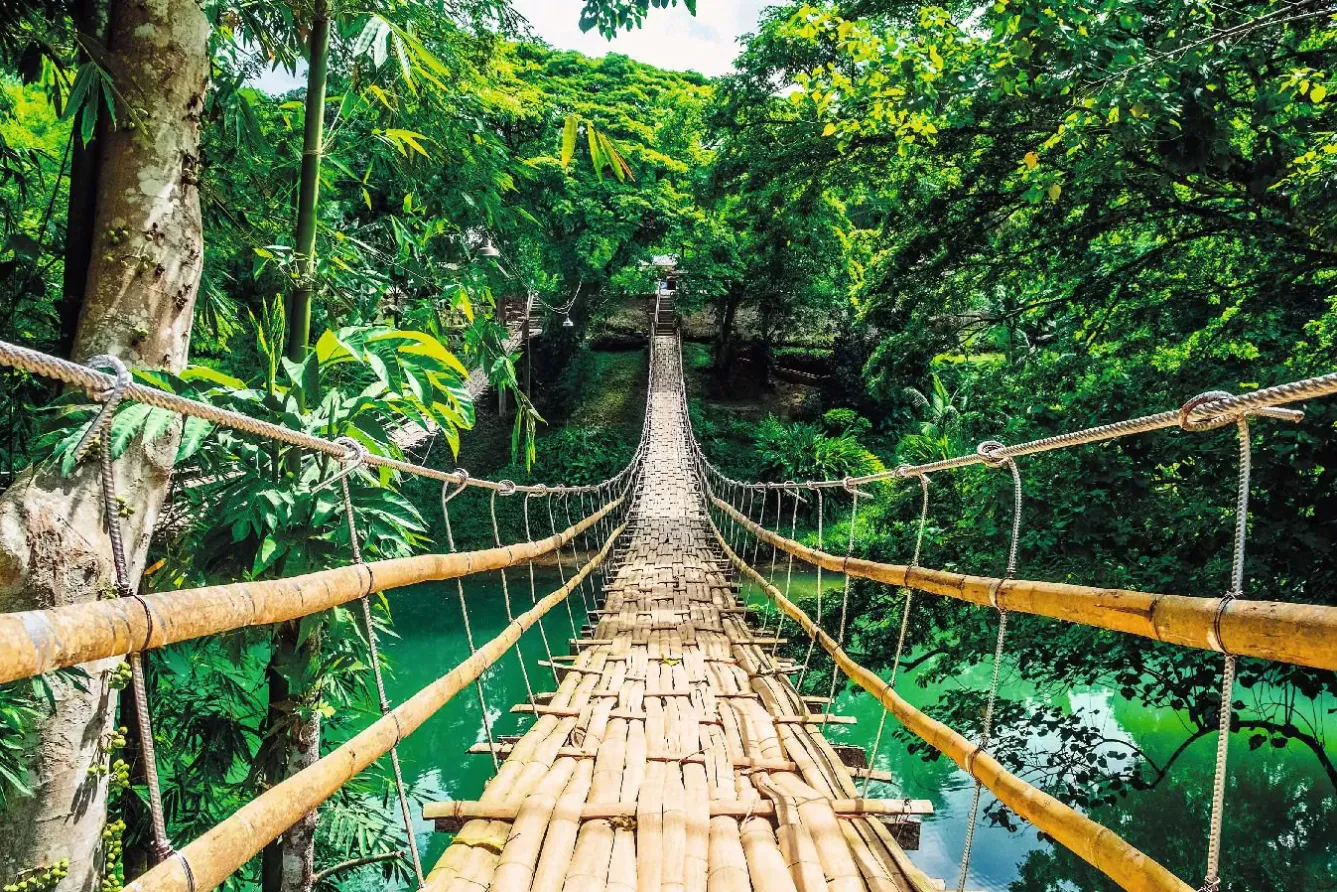Sale NANU-NANA Poster Jungle Bridge, Nr. 117