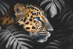 Clearance NANU-NANA Poster Leopard Leafs, Nr. 108