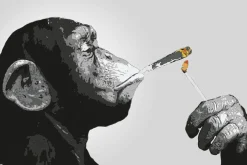 Outlet NANU-NANA Poster Monkey Joint Time, Nr. 226