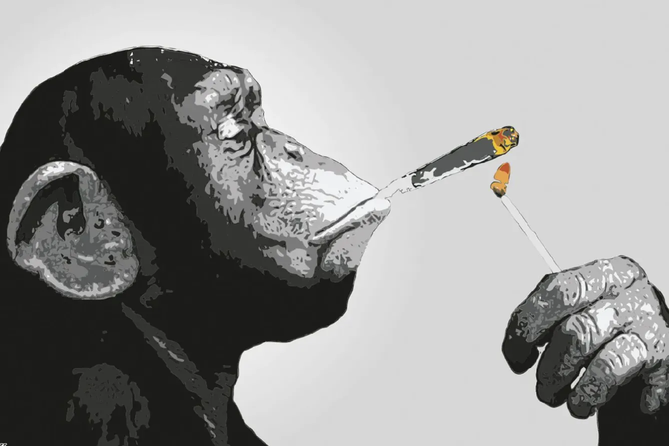 Outlet NANU-NANA Poster Monkey Joint Time, Nr. 226