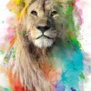 Sale NANU-NANA Poster Multicolor Lion, Nr. 94