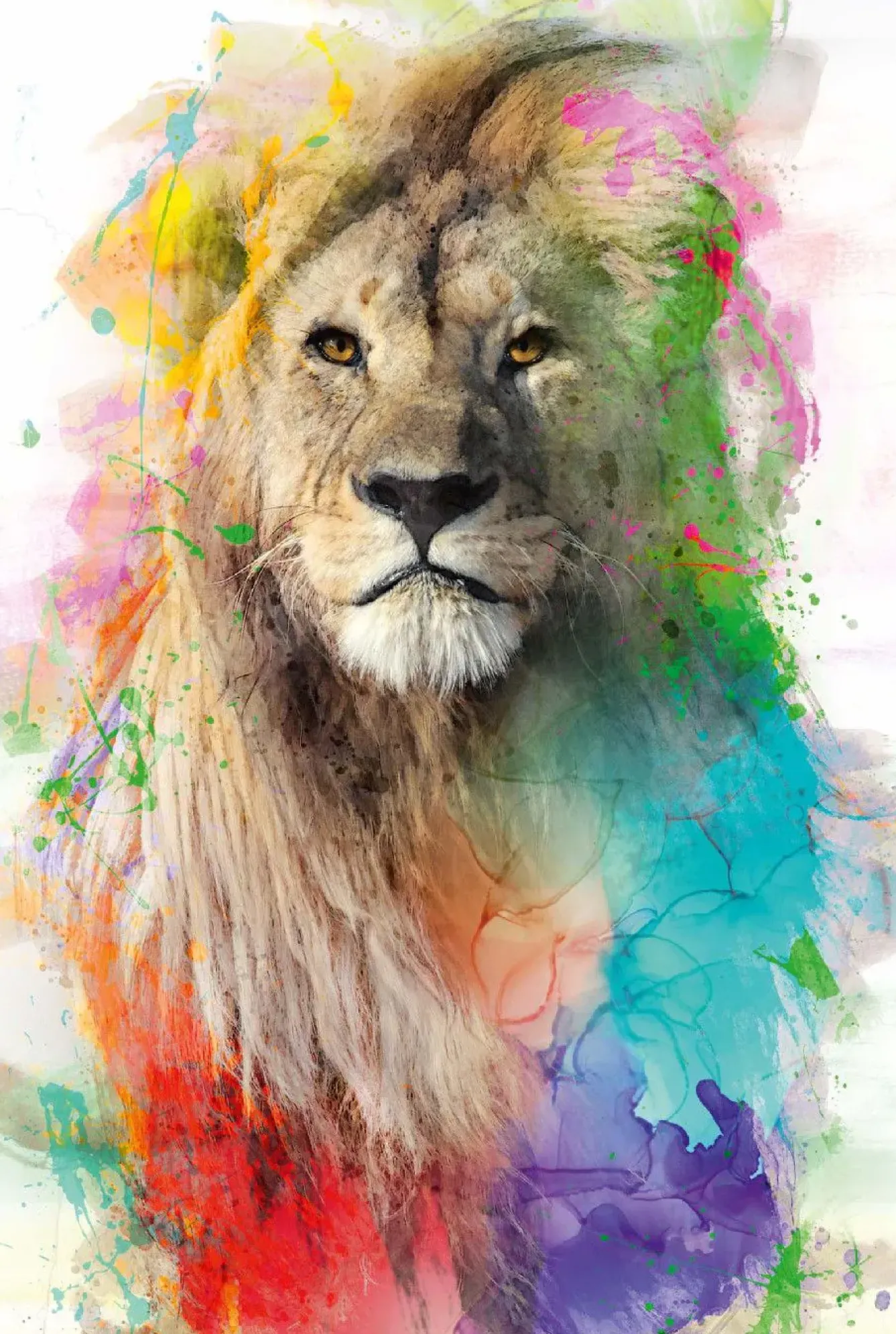 Sale NANU-NANA Poster Multicolor Lion, Nr. 94