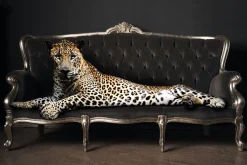Online NANU-NANA Poster Panther Pose, Nr. 47