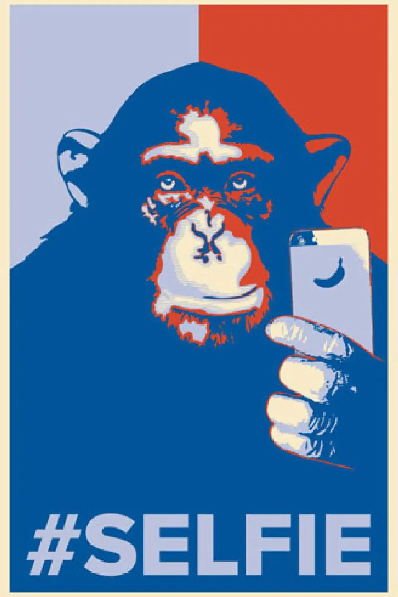 Outlet NANU-NANA Poster Selfie Monkey, Nr. 199