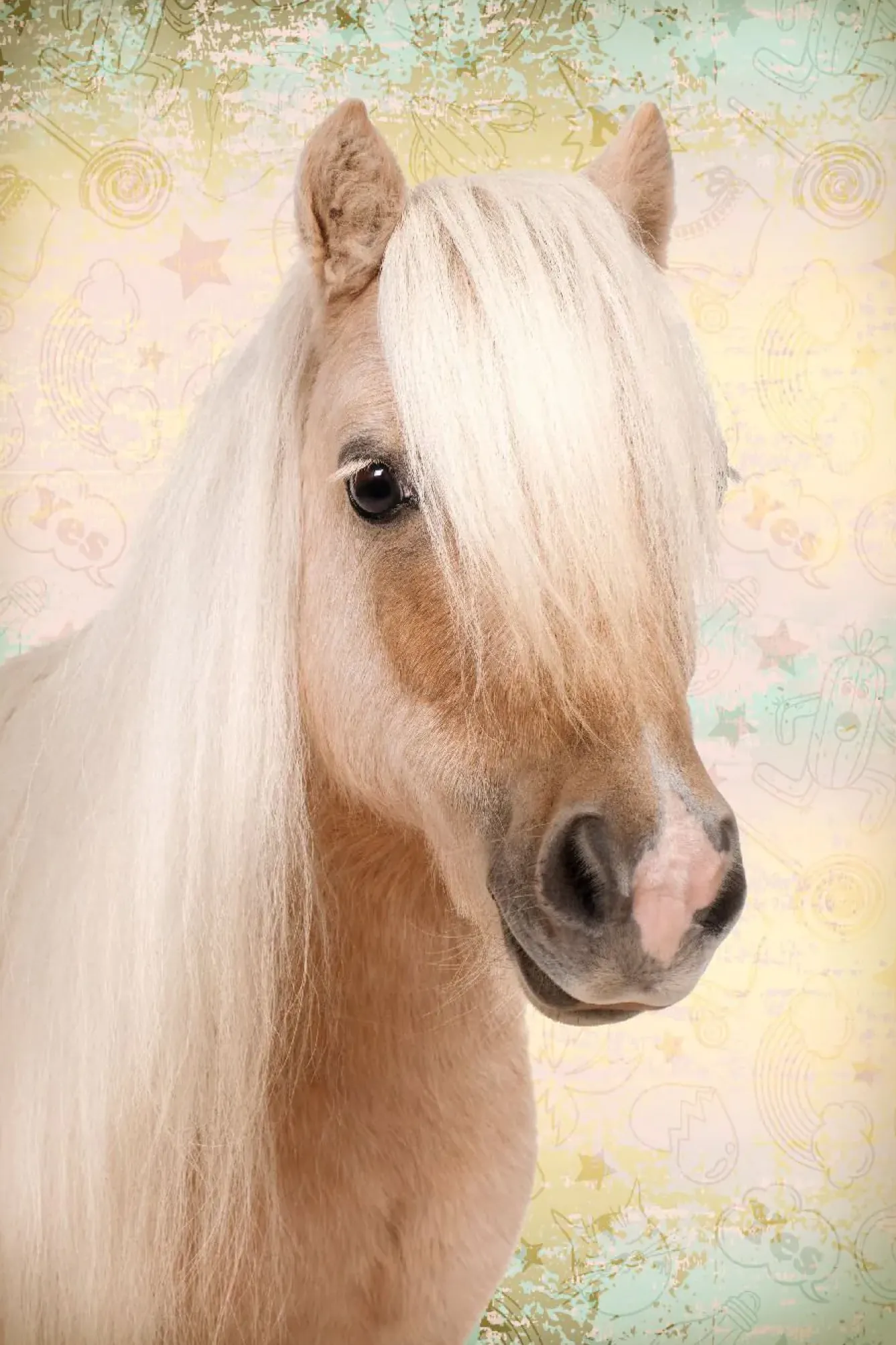 Clearance NANU-NANA Poster Sweet Horse, Nr. 198