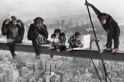 Sale NANU-NANA Poster The Chimp - Girder, Nr. 166
