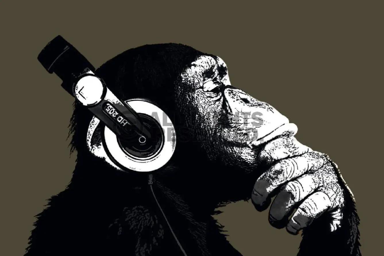 Discount NANU-NANA Poster The Chimp - Stereo, Nr. 155