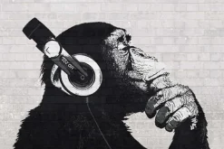 Discount NANU-NANA Poster The Chimp Stereo - Wall, Nr. 228