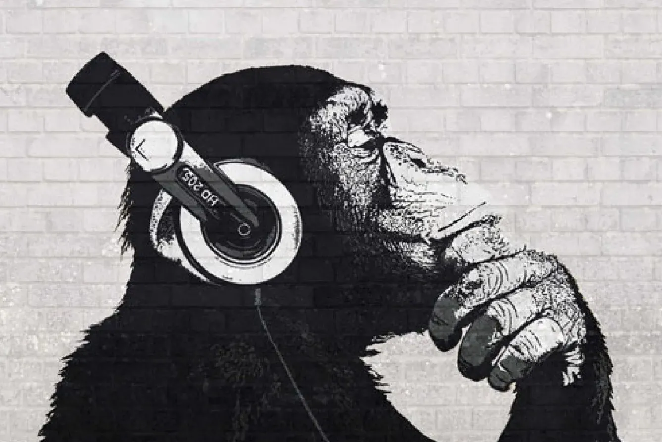 Discount NANU-NANA Poster The Chimp Stereo - Wall, Nr. 228