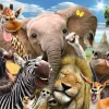 Sale NANU-NANA Poster Tiere Wildlife, Nr. 141
