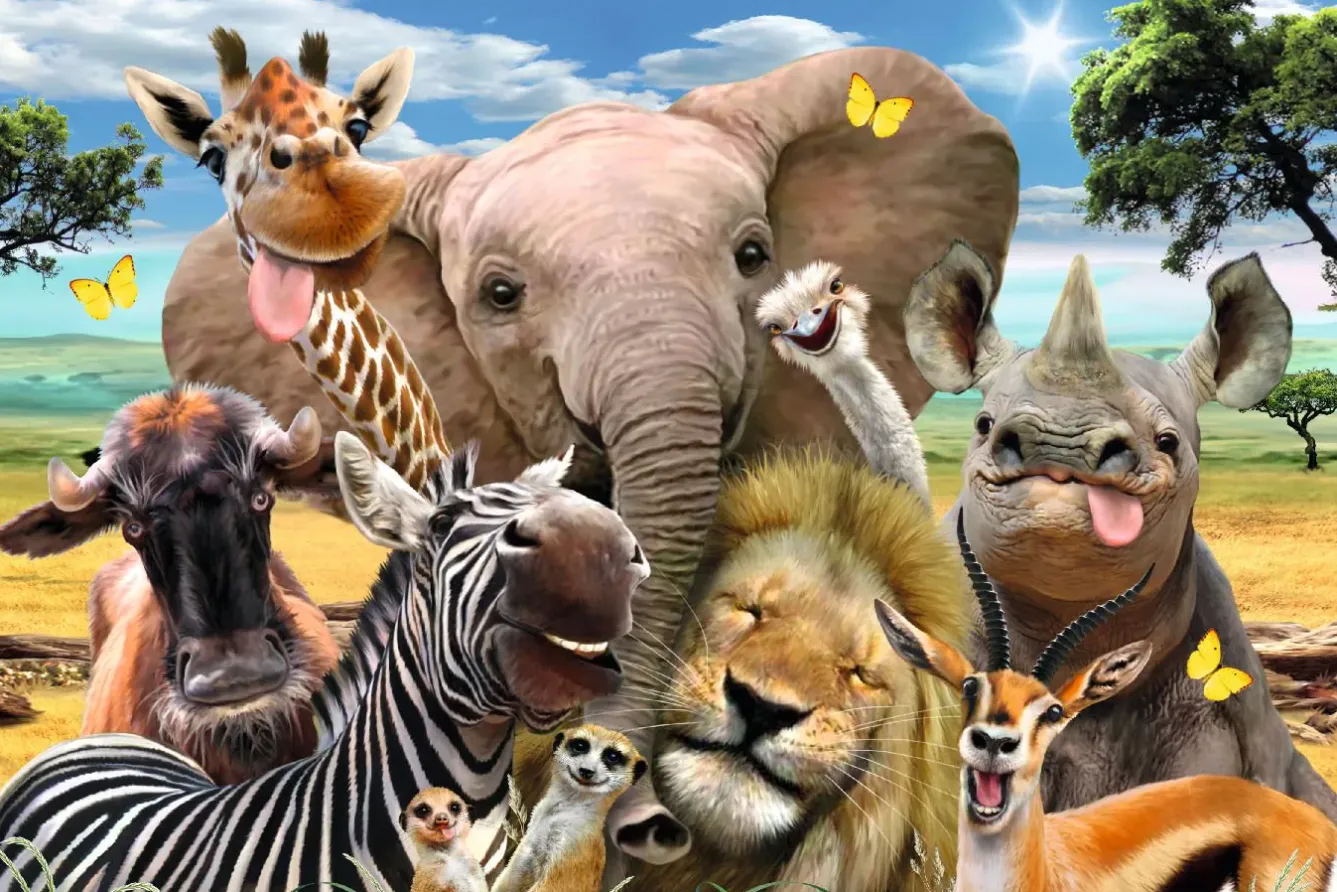 Sale NANU-NANA Poster Tiere Wildlife, Nr. 141