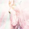 Best NANU-NANA Poster Unicorn Fluffy, Nr. 144