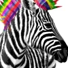 Online NANU-NANA Poster Zebra Punk, Nr. 238