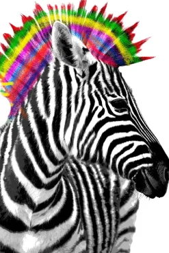 Online NANU-NANA Poster Zebra Punk, Nr. 238