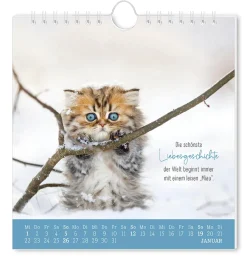 New NANU-NANA Postkarten Kalender, 2025, Auf Leisen Pfoten