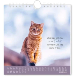 New NANU-NANA Postkarten Kalender, 2025, Auf Leisen Pfoten