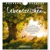 New NANU-NANA Postkarten Kalender, 2025, Lebenszeichen