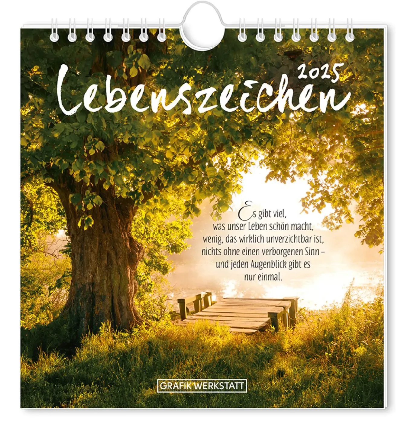 New NANU-NANA Postkarten Kalender, 2025, Lebenszeichen