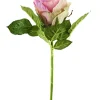 New NANU-NANA Rose, 30 Cm, Alt-rosa